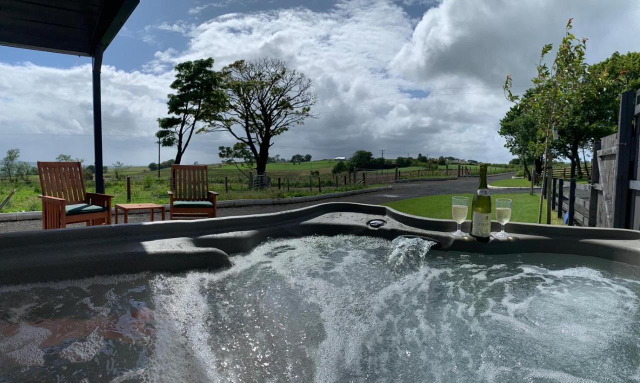 Deerfin Rentals Private Chalet With Hot Tub Ballymena Exterior photo